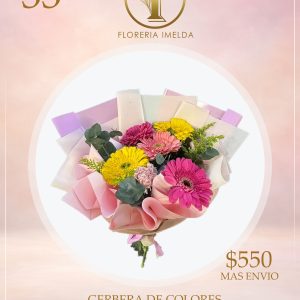 GERBERA DE COLORES 33 OC