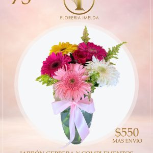 JARRON GERBERA 73 OC